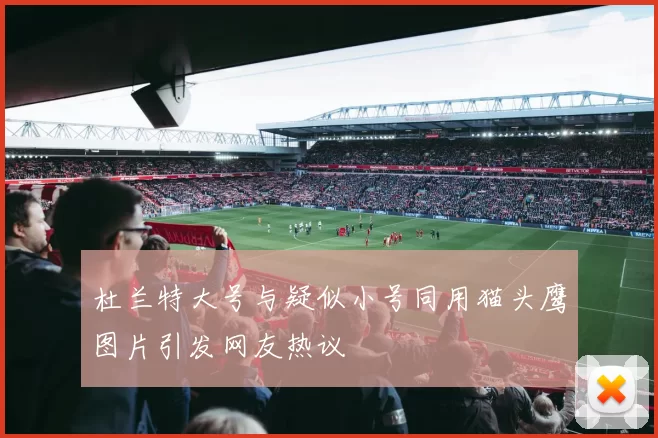 杜兰特大号与疑似小号同用猫头鹰图片引发网友热议